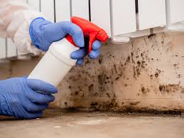 Best Black Mold Removal  in Lompoc, CA